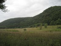 Ivankovets'kyi reserve