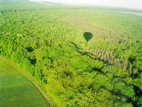 Панівецька дача