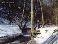 Панивецкая дача