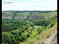 Китайгородское обнажение