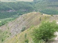 Китайгородське відслонення
