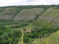 Китайгородське відслонення