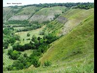 Китайгородське відслонення