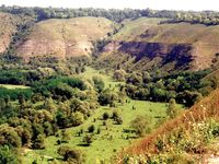Китайгородське відслонення