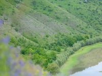 Китайгородське відслонення