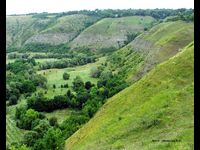 Китайгородське відслонення