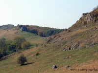 Нігинська товтра