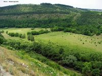 Заказник Староушицкий