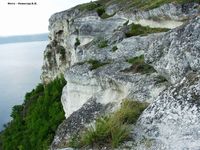 Заказник Староушицький