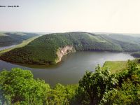 Vrublivtsi Forest