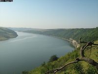 Врублівецький ліс