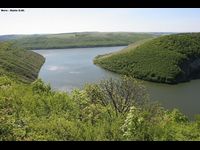 Врублівецький ліс