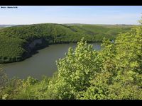 Врублівецький ліс