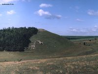 tovtra Фурманівська