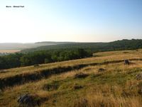 Ivahnovets'kyi Forest